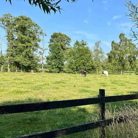 بيت خشبي Veluwse Boerderij Beleving - Hoeve Meijer Harskamp