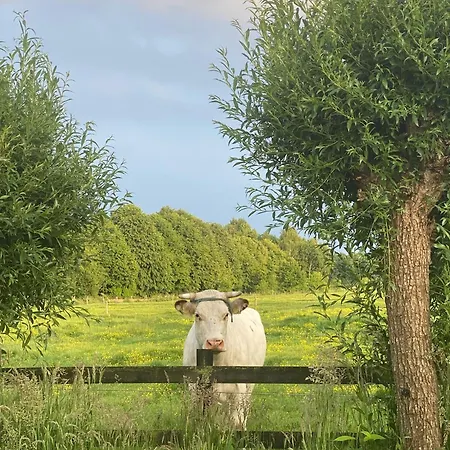 Veluwse Boerderij Beleving - Hoeve Meijer Harskamp