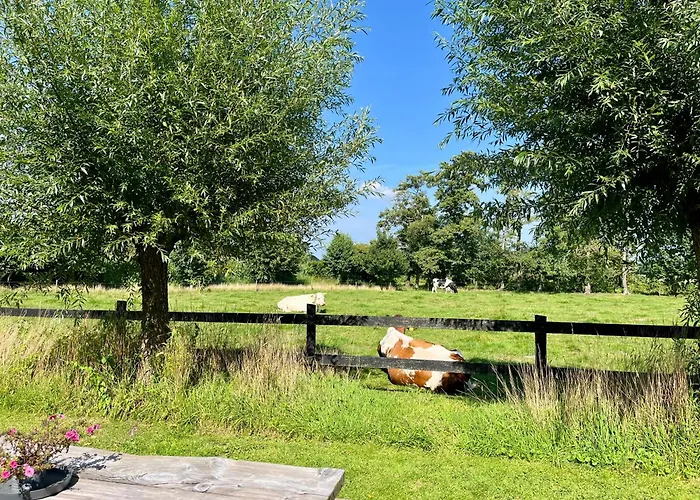 Veluwse Boerderij Beleving - Hoeve Meijer
