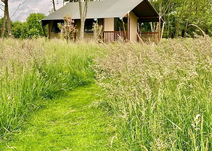 Orman Evi Veluwse Boerderij Beleving - Hoeve Meijer Harskamp