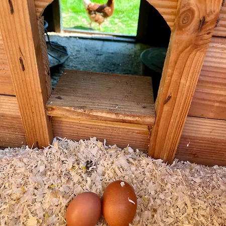 Lodge Veluwse Boerderij Beleving - Hoeve Meijer
