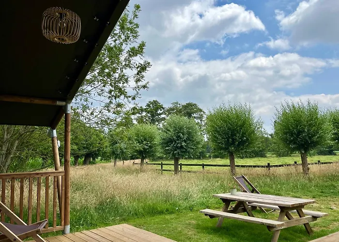 Veluwse Boerderij Beleving - Hoeve Meijer