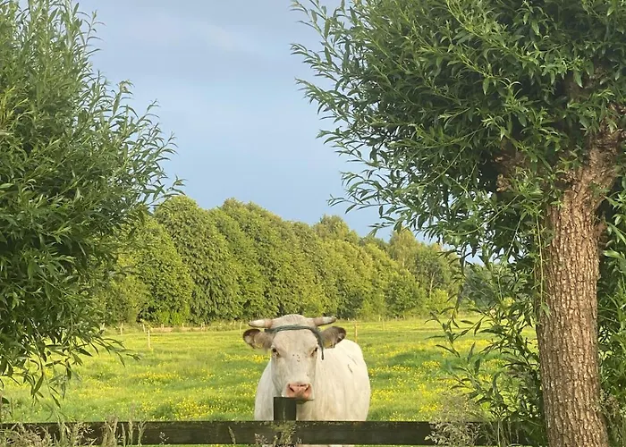 Veluwse Boerderij Beleving - Hoeve Meijer Harskamp